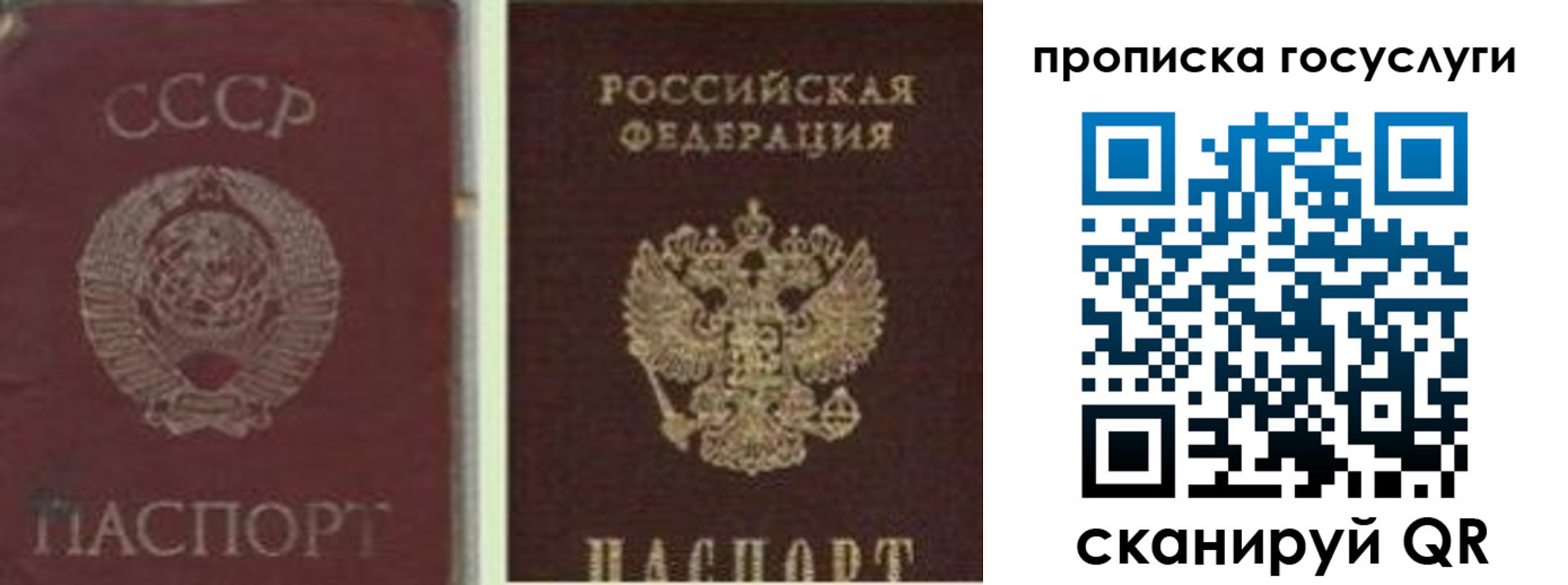 временная регистрация 2025 в Бородино